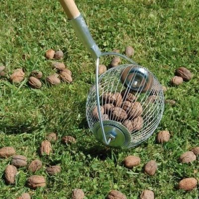 MASY Boule ramasse noix - manche inox