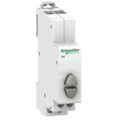 SCHNEIDER ELECTRIC Bouton-poussoir double - 1 NO gris + 1 NO gris - 20 A - 230 VCA - Acti9 - iPB