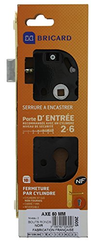 BRICARD  Serrure &agrave; mortaiser axe &agrave; 50 / t&ecirc;ti&egrave;re en acier laqu&eacute;