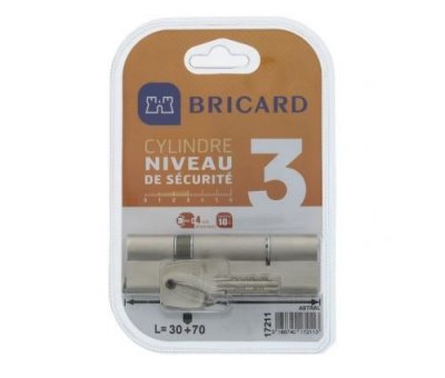 BRICARD  trials 17211 cylindre 30+70 mm double entree laiton nickele