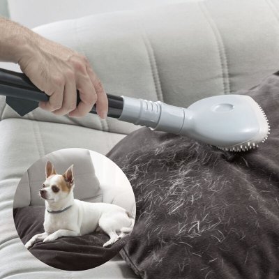INNOVAGOODS Brosse enl&egrave;ve-poils pour aspirateur 