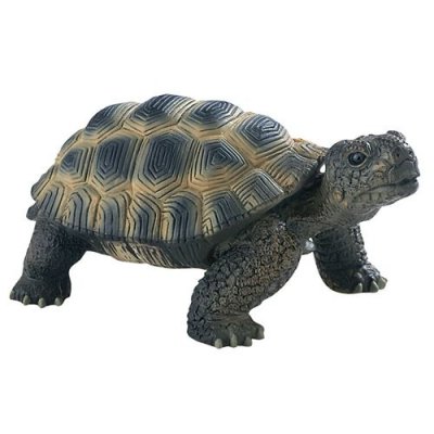 BULLYLAND  - B63553 - Figurine Tortue De Terre - 13 cm