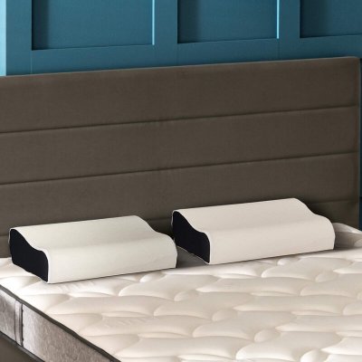 BULTEX  Lot de 2 oreillers ergonomiques  &agrave; m&eacute;moire de forme 33x52