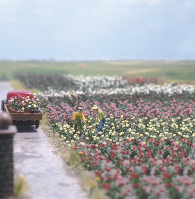 BUSCH  Roses-H0 - Trains miniatures : d&eacute;cors