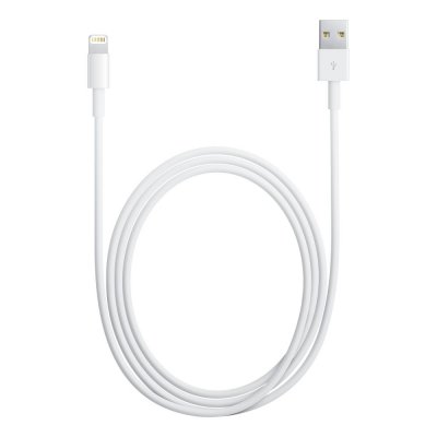 APPLE C&acirc;ble de connexion Lightning &agrave; USB MD818ZM - Neuf
