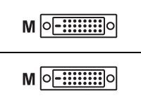 MCL SAMAR C&acirc;ble DVI-D m&acirc;le / DVI-D m&acirc;le Dual Link - 5 m (MC373-5M)