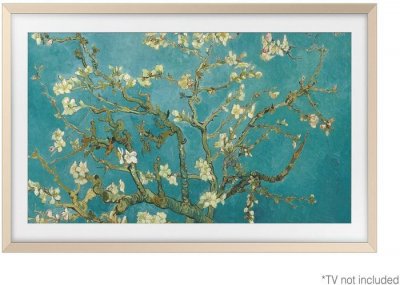 SAMSUNG Cadre The Frame  55'' Metal Gold 2023 Multicolore 