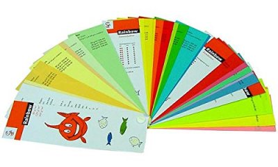 CLAIREFONTAINE Cahier de 192 pages s&eacute;y&egrave;s  Mimesys 24 x 32 cm Mod&egrave;le al&eacute;atoire