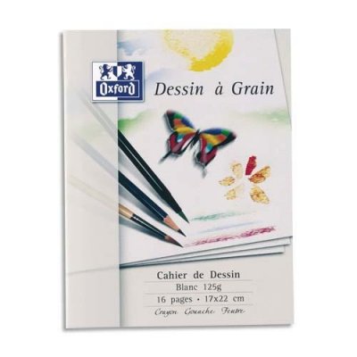 CANSON Cahier de dessin  - piq&ucirc;re 17 x 22 cm - 16 pages 125g - unies