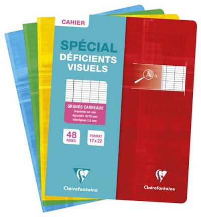 CLAIREFONTAINE Cahier piq&ucirc;re 48 pages 17 x 22 cm, s&eacute;y&egrave;s 2,5 mm agrandi 10/10, 90 g