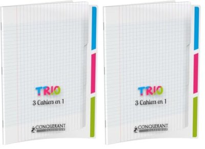 CONQUERANT Cahier trio polypro 24x32cm 90g 96p grands carreaux incolorre