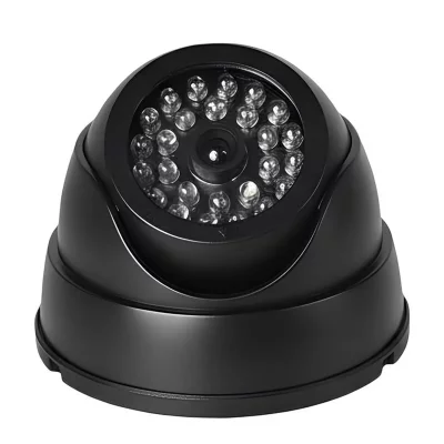  Cam&eacute;ra factice - AVIZAR - Type D&ocirc;me - Noir - LED apparentes - Sans fil