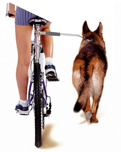 CAMON  Ceinture De Bicyclette En Acier Inoxydable