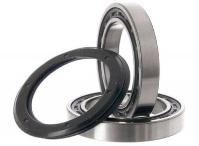 CAMPAGNOLO  Roues  Ultra Torque Record Bearings One Size