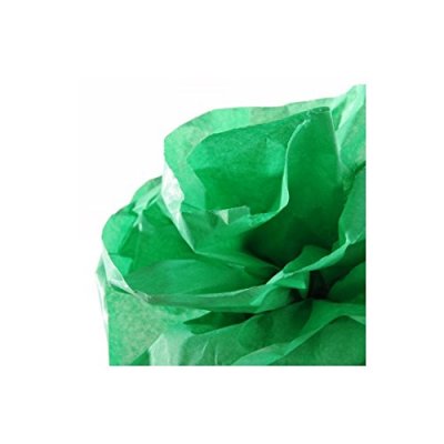 CA02 Canson canson papier de soie, 0,5 x 5,0 m, 20 g/m2, vert franc noir