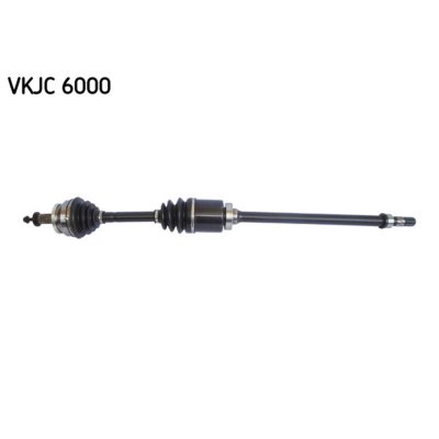 SKF Cardans (arbre de transmission)  VKJC 6000 (X1)
