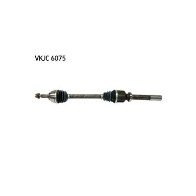 SKF Cardans (arbre de transmission)  VKJC 6075 (X1)
