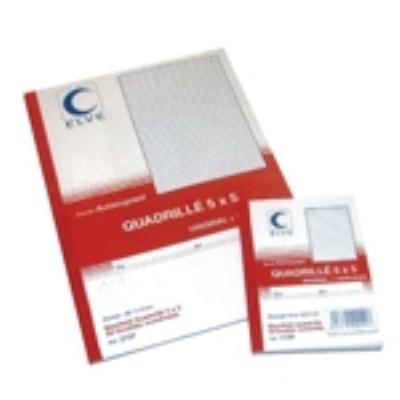 ELVE CARNET AUTOCOPIANT QUAD.5/5 210X140 50/2+0 (par 10)