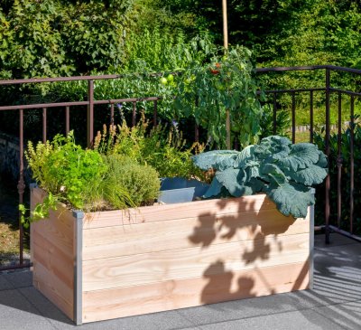 MON PETIT POTAGER Carr&eacute; potager en bois avec composteur Keyhole garden