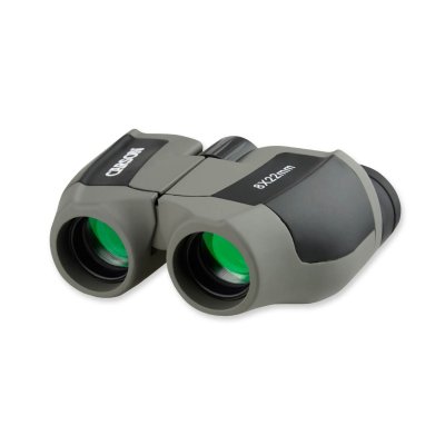 CARSON  Optical Scout 8x22 Binoculars Gris