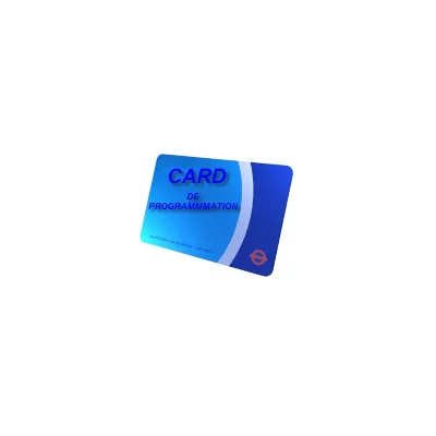 SCHOLTES Carte De Programmation Pour Four  - C00274181