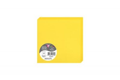 POLLEN BY CLAIREFONTAINE Carte Double 13.5 X 13.5 Cm ( Lot De 25 ) Le Geant De La Fete