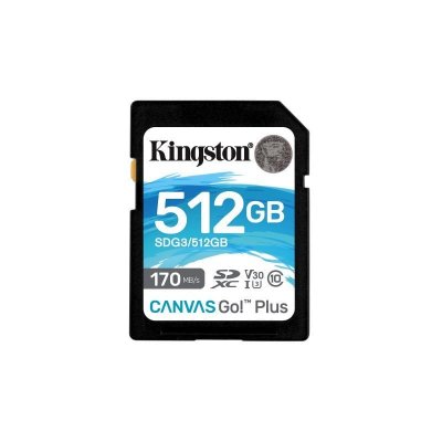 KINGSTON Carte m&eacute;moire  SDXC UHS-I U3 C10 V30 512Go - SDG3/512GB