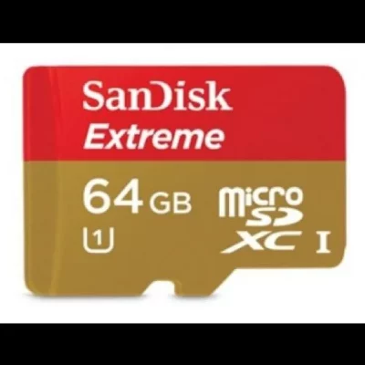 SANDISK Carte m&eacute;moire micro SD Extreme -  - 64 Go