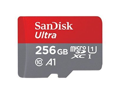 SANDISK Carte m&eacute;moire micro SD  MSD 256GB ULTRA A1***