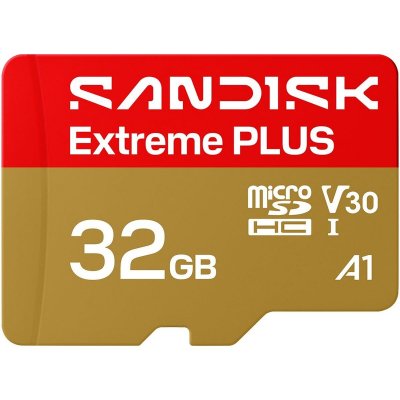 SANDISK Carte m&eacute;moire microSDHC&trade;  Extreme&reg; Plus 32 Go UHS-I