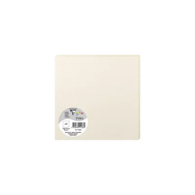 POLLEN BY CLAIREFONTAINE Carte Simple 210g 160x160 ivoire iris&eacute; pqt 25