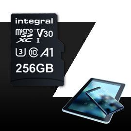 INTEGRAL Cartes memoire  INMSDX 256 G-100/90 V 30