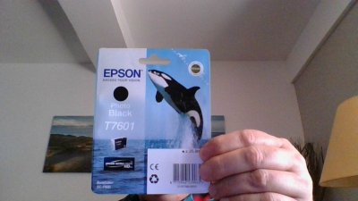 EPSON Cartouche d'encre BT7601 -  - Noir