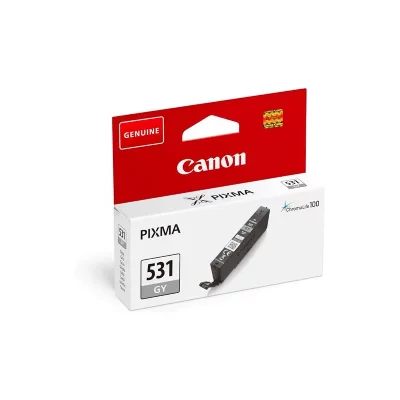 CANON Cartouche d'encre  Pixma Chroma Life 100 TS8750 S/BL Gris 