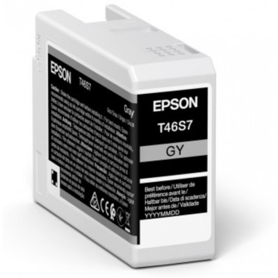 EPSON Cartouche d'encre  T46S7 25 ml Gris anthracite 
