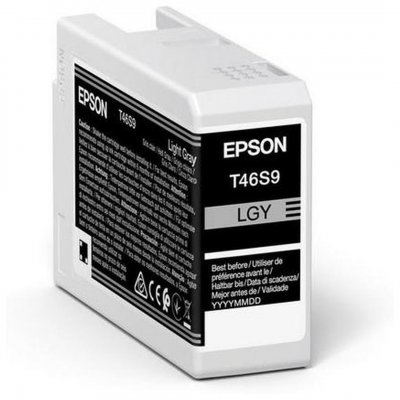 EPSON Cartouche d'encre  T46S9 25 ml Gris anthracite 