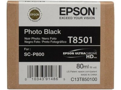 EPSON cartouche  T850100