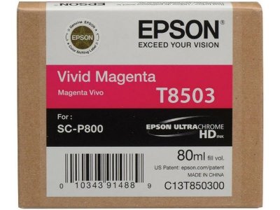 EPSON cartouche  T850300