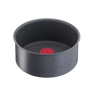 TEFAL Casserole &Oslash;20 cm Ingenio Natural Force Gris 