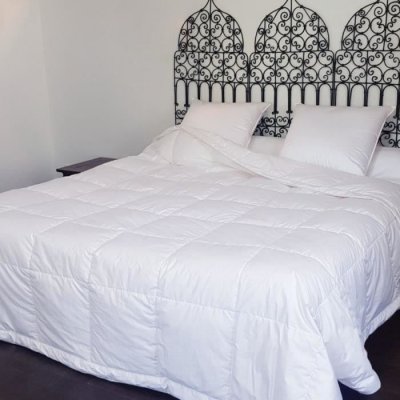 CASTEX COUETTES NATURELLES CASTEX Couette fine anti transpiration 260x240 cm Duvet Canard