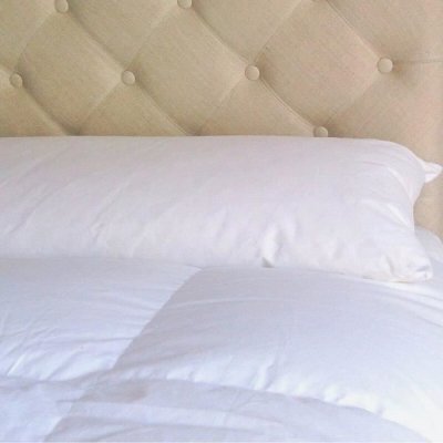 CASTEX COUETTES NATURELLES Castex - Traversin Plat Moelleux Plume-Duvet King Size 180