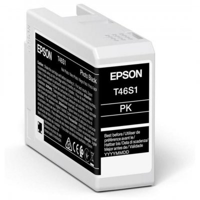 EPSON Catouche d'encre  T46S100 25 ml Noir 