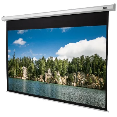 CELEXON  Economy electric screen &eacute;cran de projection - 108 po (275 cm)