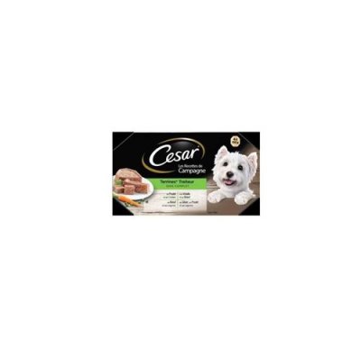 CESAR  24 Barquettes En Terrine 4 Vari&eacute;t&eacute;s Pour Chien 150g (6x4)