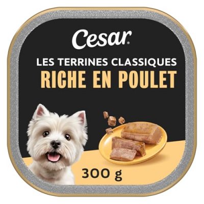 CESAR  Barquette En Terrine Au Poulet - Pour Chien Adulte - 300 G X20