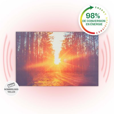 KLARSTEIN Chauffage Infrarouge Fixation Murale Wonderwall Air Art Infinite 90x60cm 580W
