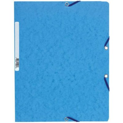 EXACOMPTA Chemise &Eacute;lastique Sans Rabat Carte Lustr&eacute;e 400gm&sup2; A4 Violine