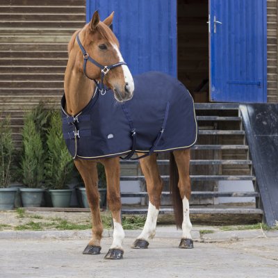 EQUITHEME Chemise pour cheval Equith&egrave;me Chic 0g