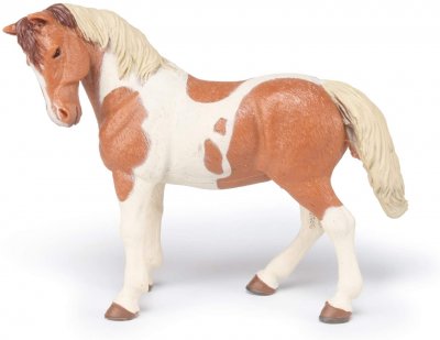 PAPO Chevaux, Poulains Et Poneys Jument Pinto