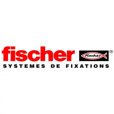FISCHER Cheville  SX &agrave; expansion nylon 10 mm bo&icirc;te de 50 